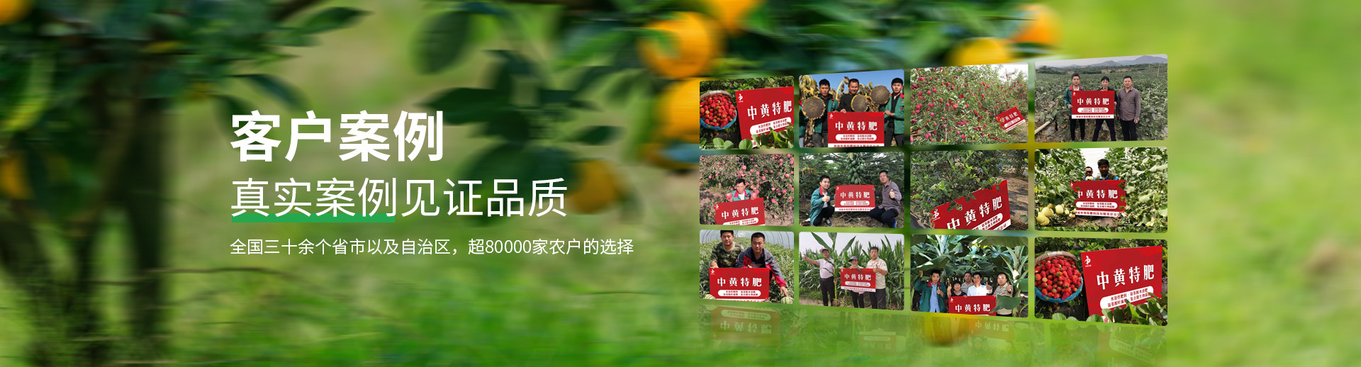 水溶肥料-大量元素水溶肥-含氨基酸水溶肥料-高塔復合肥-水溶肥生產廠家-河南中黃特肥科技有限責任公司